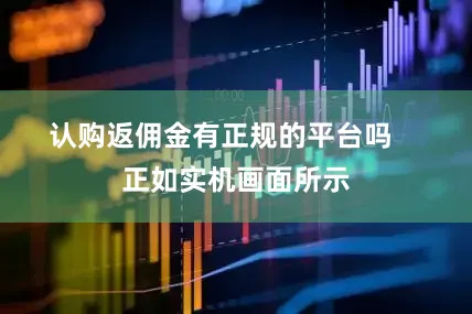 认购返佣金有正规的平台吗    　　正如实机画面所示