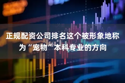 正规配资公司排名这个被形象地称为“宠物”本科专业的方向