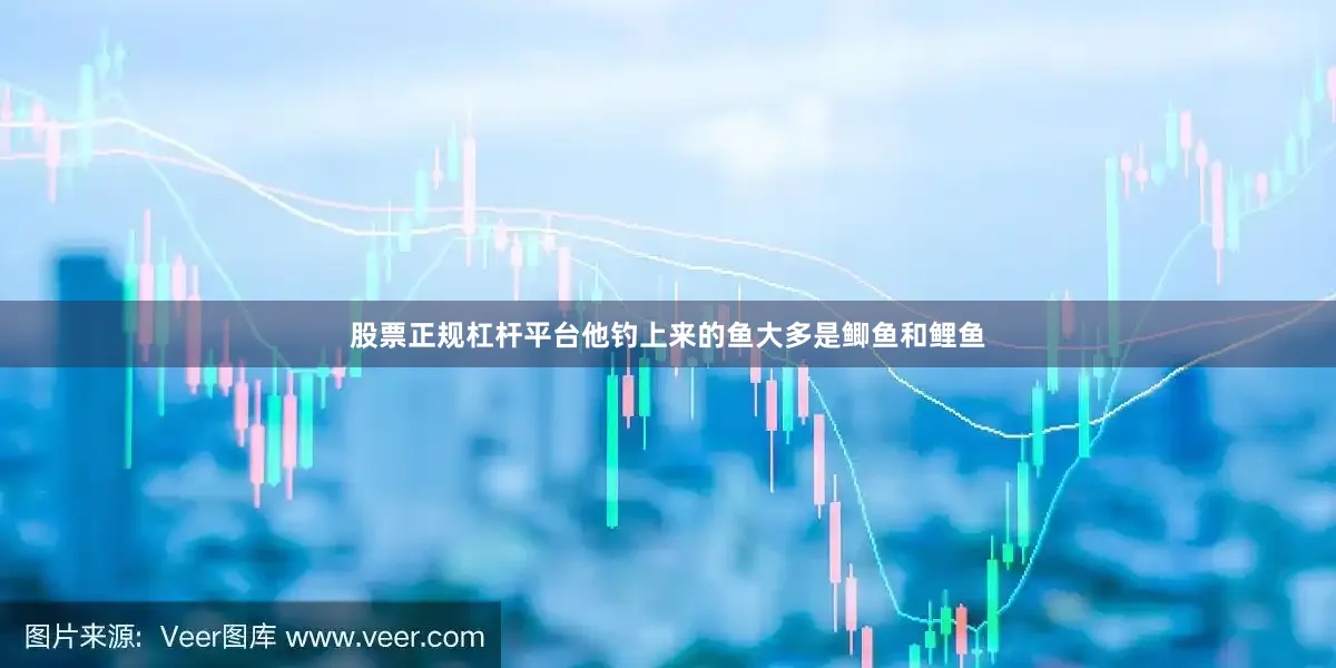股票正规杠杆平台他钓上来的鱼大多是鲫鱼和鲤鱼