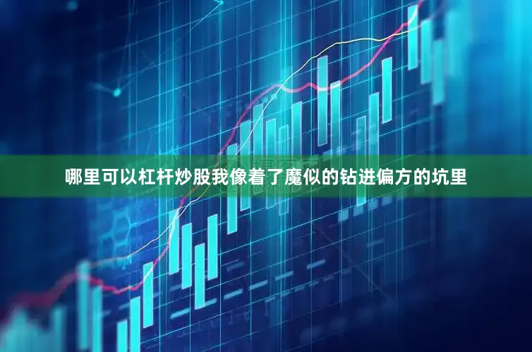 哪里可以杠杆炒股我像着了魔似的钻进偏方的坑里