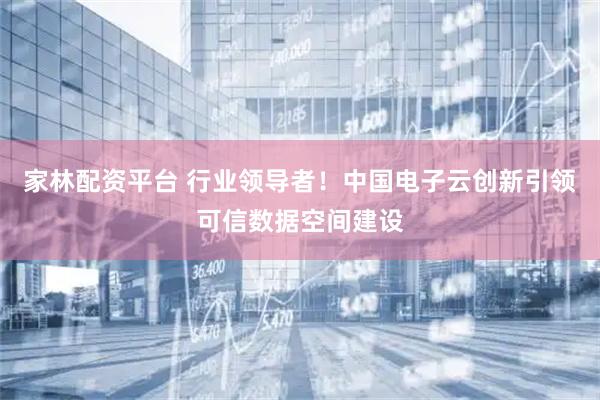 家林配资平台 行业领导者！中国电子云创新引领可信数据空间建设