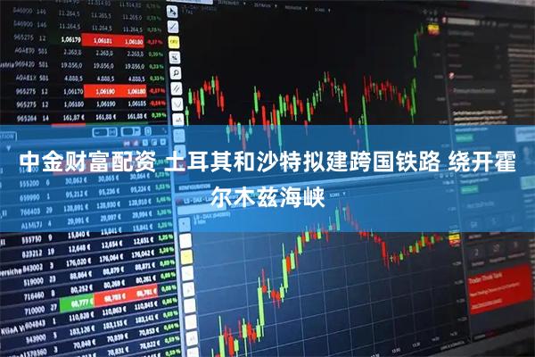 中金财富配资 土耳其和沙特拟建跨国铁路 绕开霍尔木兹海峡